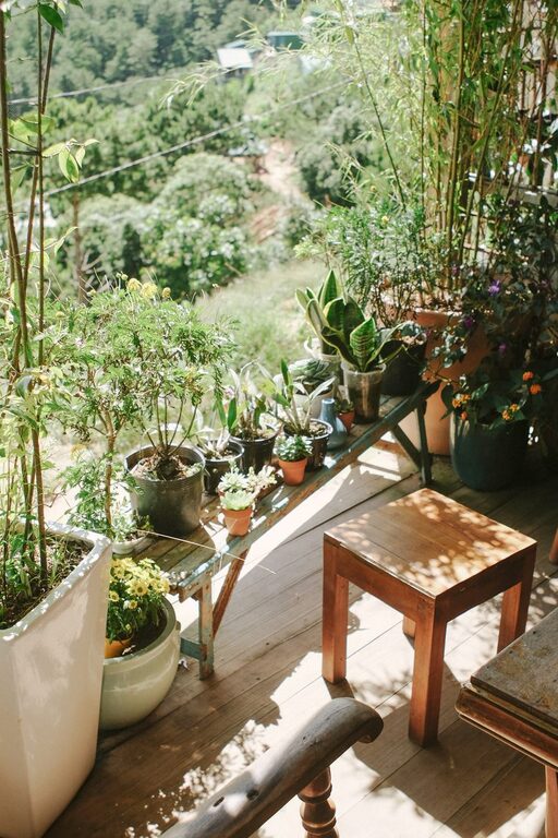 Tips for Creating a Beautiful and Functional Home Garden